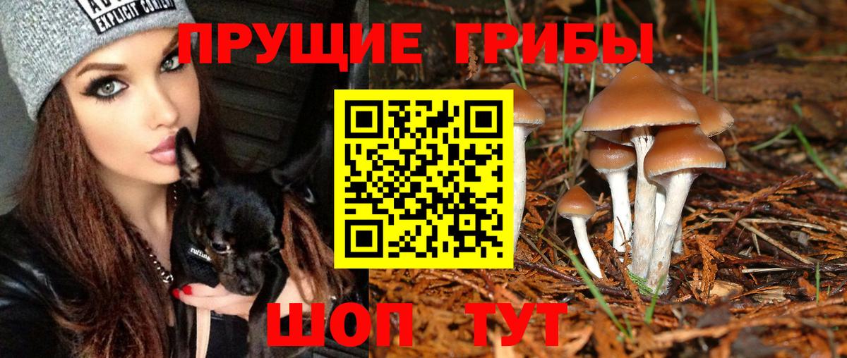 Североморск  Псилоцибиновые грибы GOLDEN TEACHER  Вход с VPN  Галлюциногенные грибы мухоморы 