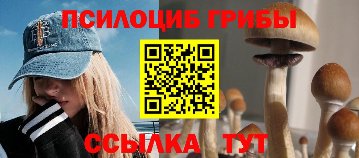 Галлюциногенные грибы Magic Shrooms Североморск